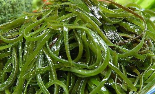 乳腺增生不能吃什么食物 治疗乳腺增生的食疗方