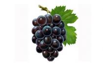 吃葡萄皮都有啥好处