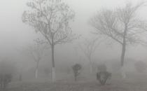 雾霾天应该怎锻炼