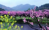 春季踏青要注意什么事项