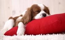 落枕后如何治疗？导致落枕的原因