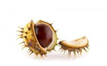 板栗到底是生吃好还是熟吃好