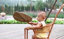 夏季摇蒲扇的罕见作用