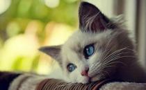 身体疾病信号一定要小心！