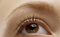 眼睛干涩吃什么食物好