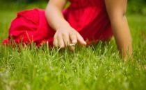 这些饮品帮助上班族有效提神