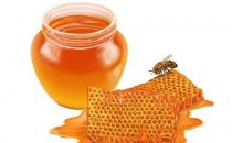 秋季补身别猎野味 不但不补反惹病灾