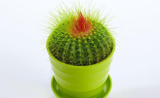 生活中该如何有效防辐射