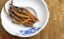 冬虫夏草滋补药膳方