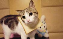 性格太好强容易患高血压？