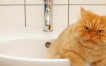 强迫性神经症有哪些症状