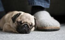 落枕了如何缓解疼痛