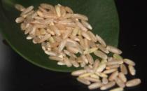 多食五谷杂粮 孕妈妈吃的才健康