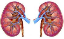 肾好才是硬道理 日常保护肾脏的方法