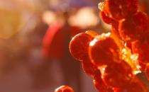 肉吃多了难消化 吃些山楂或许可以帮到你