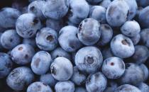 想要美容养颜改善睡眠 选择以下蓝莓食谱就对了