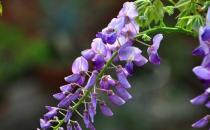 6款长假调身汤 让疲惫的你满血复活