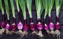 洋葱有益于心脏并可调节血糖 减少患癌风险
