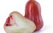 莲雾热量低营养丰富 天然的解热剂