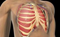 引起胸骨疼痛的疾病 胸骨后疼痛护理