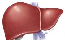 身体出现这信号要警惕肝脏癌变 10项预防癌症秘方