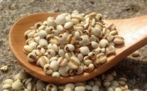 防湿气记住少吃寒凉 湿气最怕5物