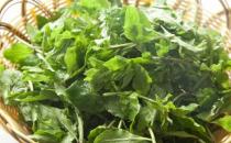 野菜七头一脑最全攻略 教你野菜做法大全养生又健康