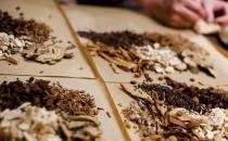 中药方剂的组成 中药的煎服方法及注意事项