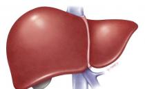 身体2痒2痛脏可能受损了 养肝牢记一二三让肝好起来