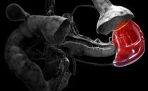 学习揉脾经能揉掉很多慢性病 不给疾病任何藏身之地