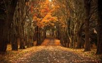 科学地进行散步 才能达到健身的目的 