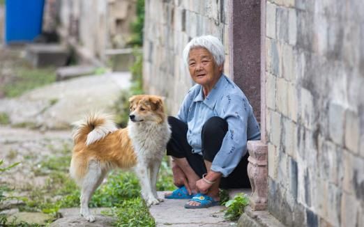 养个宠物 对老人的心理和心情都是十分有益