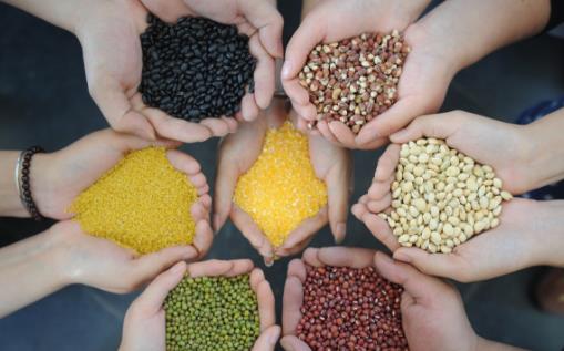 糖友日常饮食要重视 这样吃更健康