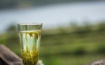 长期喝绿茶的好处 有助于抑制心血管疾病