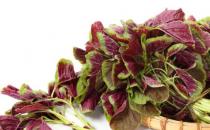 适合高血压患者的食物 降血压的注意事项