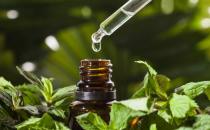 精油被誉为西方护肤中草药 精油使用注意事项 