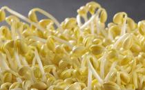 蔬菜有最佳的瘦身功效 美容美体的超级食品