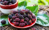 平时喝黑桑葚汁好处多多 桑葚的实用偏方你知道多少