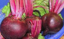 上班提不起精神 推荐五大护脑抗疲劳食品