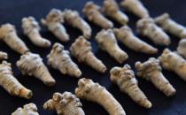 三七粉祛瘀又补益 三七粉的正确吃法是一种病一个量