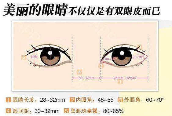 北京彤美整形医院刘风卓：双眼皮手术恢复需要多久
