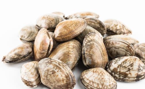 八种花甲的食谱值得一试 赶紧收藏起来