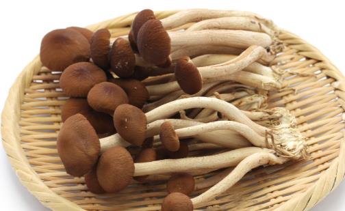 整理八款干煸的美食做法 吃货们赶紧行动