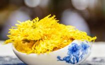 菊花茶可不可以天天喝 喝菊花茶需要随泡随饮不要隔夜