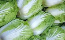 肠胃不好可以吃些什么调理 胃功能下降需要远离的食物