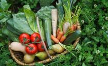 蔬果不应只是餐桌上的配角 每天吃足量蔬果有助防慢病