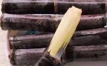 秋日的甘蔗赛过参 甘蔗的花样新吃法