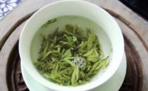 喝绿茶有益健康 四类人不适合喝绿茶