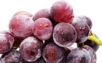 孕妇吃水果的注意事项 四种营养水果食谱补充营养