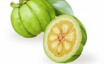 藤黄果的功效与作用 加快脂肪燃烧预防脂肪肝